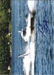 Postcard of Shockwave Racing
