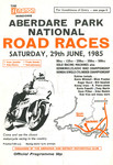 Programme cover of Aberdare Park, 29/06/1985
