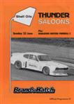 Programme cover of Brands Hatch Circuit, 23/06/1985
